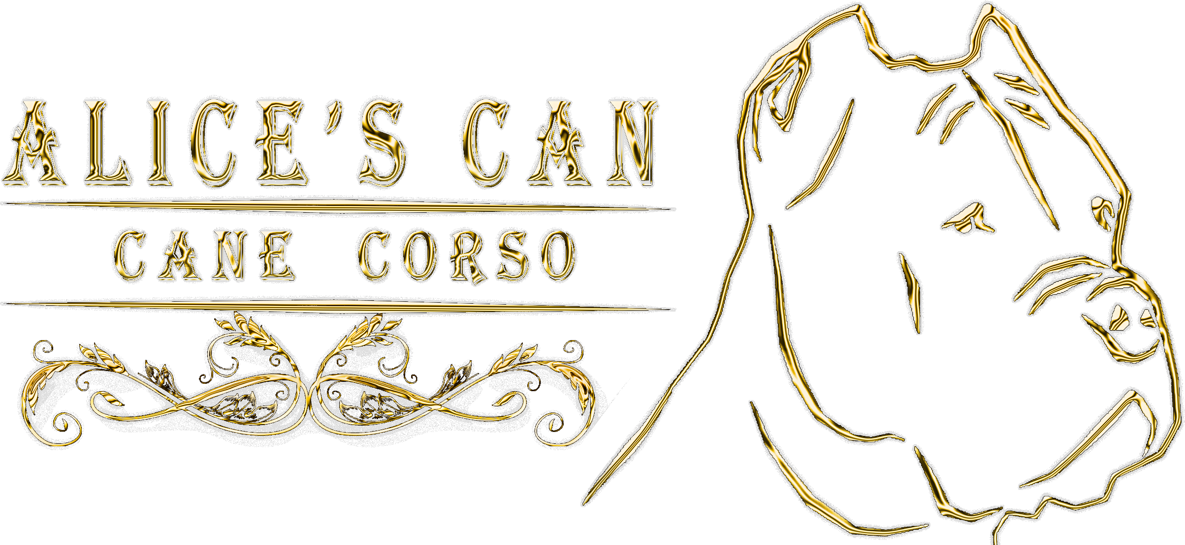 Alice's Can Cane Corso